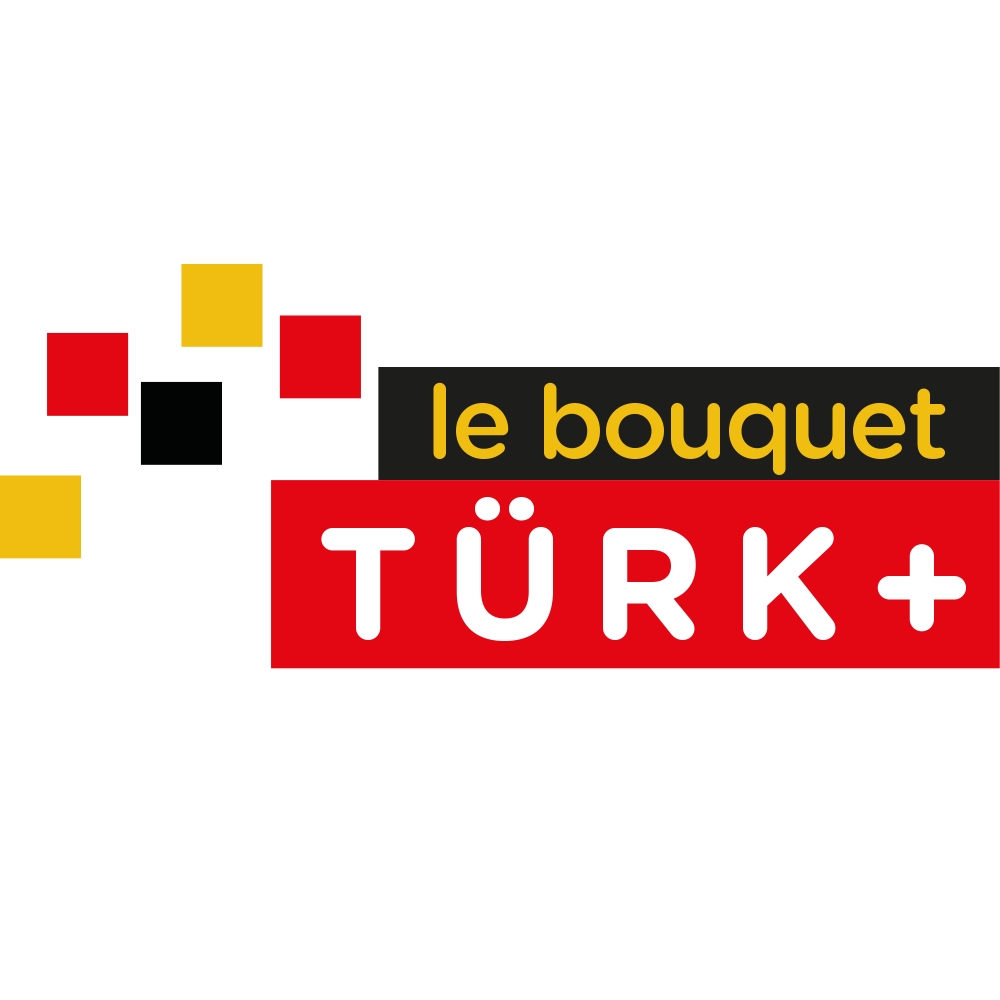 Türk+ logo
