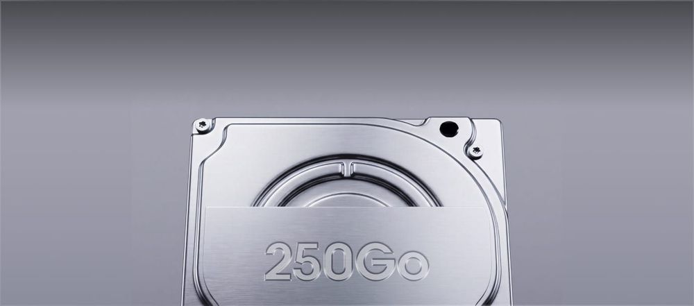 Disque dur 250 Go intégré au Server