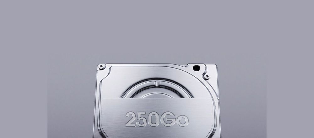 Disque dur 250 Go intégré au Server